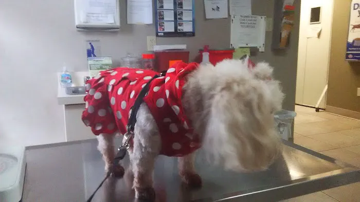 Humane Society of North America 12