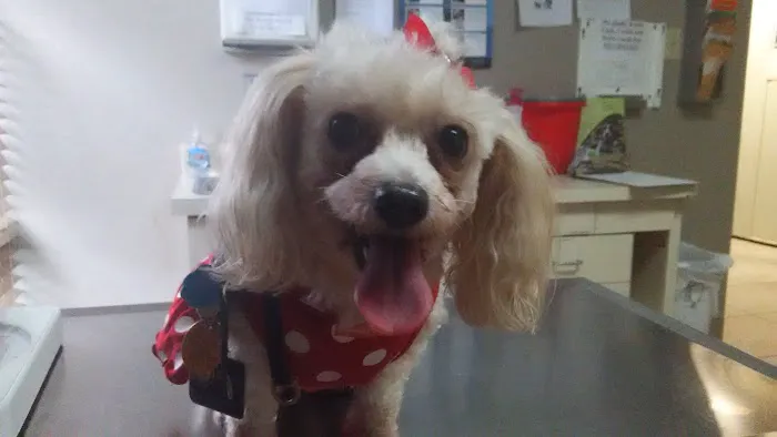 Humane Society of North America 12