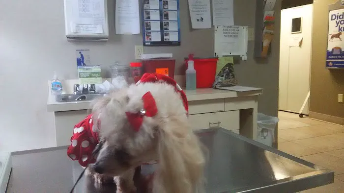 Humane Society of North America 12
