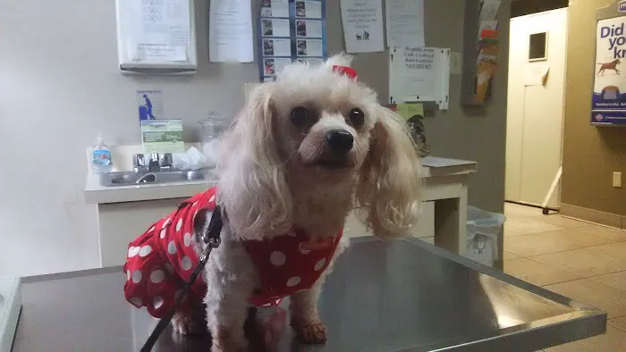 Humane Society of North America 12