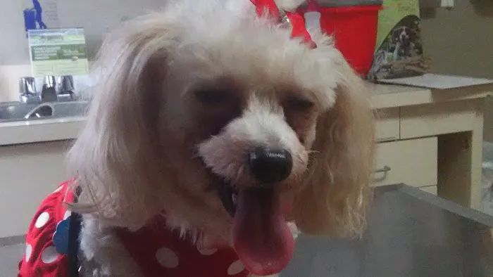 Humane Society of North America 12