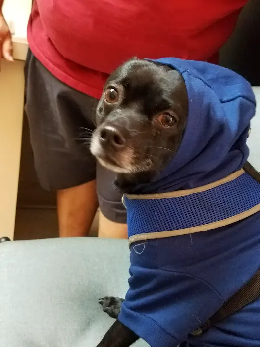 Humane Society of North America 12