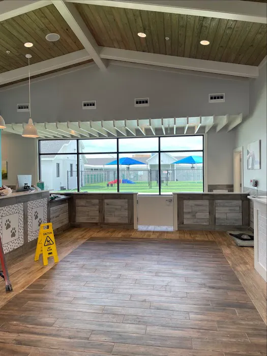 NewDay Veterinary Care 6