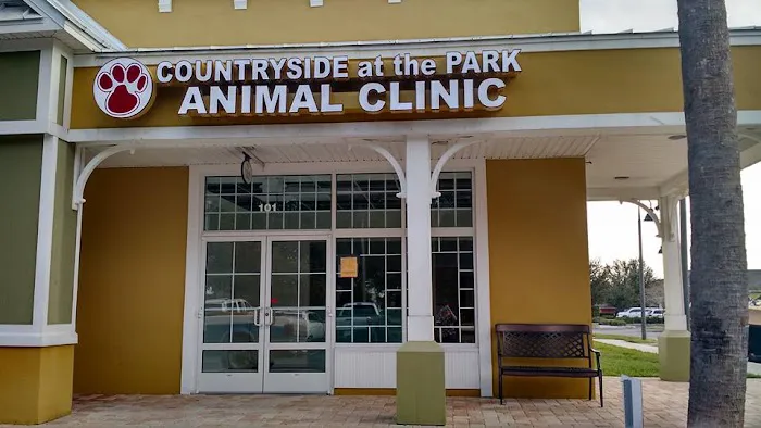 Countryside at the Park Animal Clinic 12