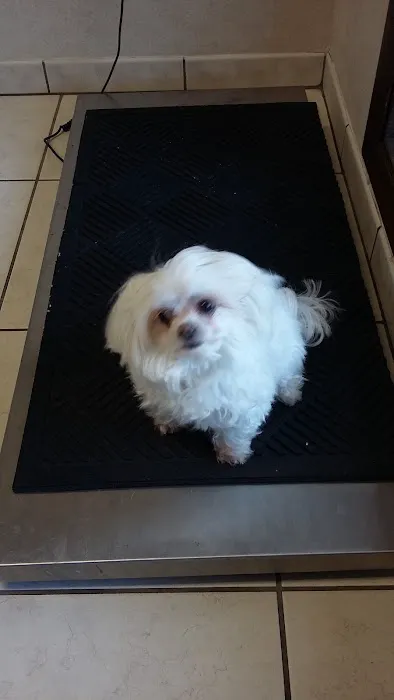 Westside Animal Clinic 12