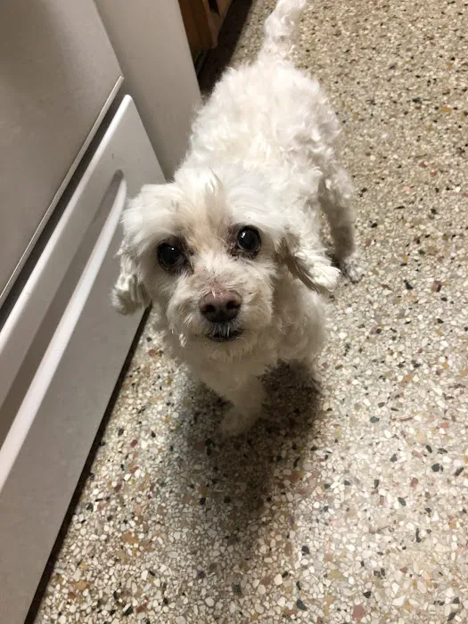 Westside Animal Clinic 12