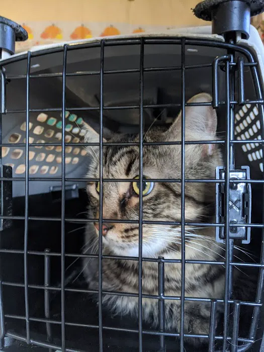 Westside Animal Clinic 12