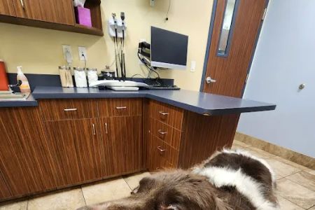 VCA DeLand Animal Hospital