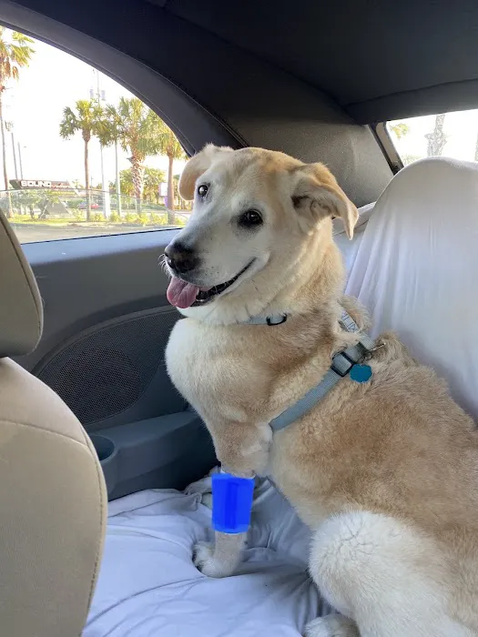 Veterinary Emergency Center 1