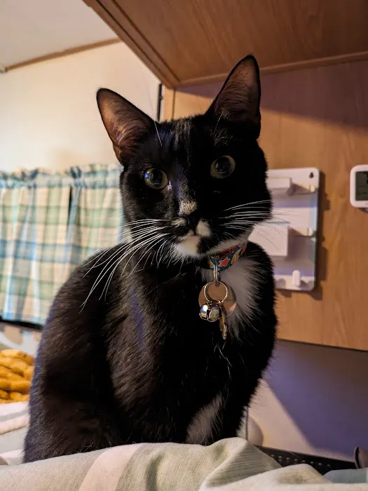 Veterinary Emergency Center 4