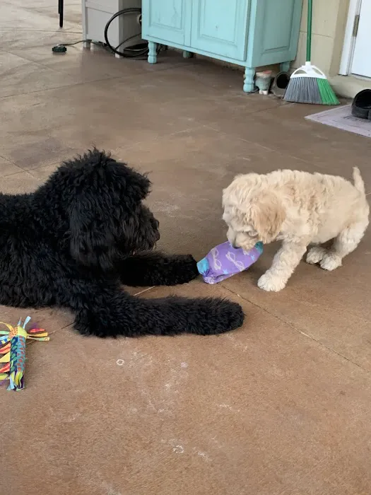 Countryside Animal Clinic 3