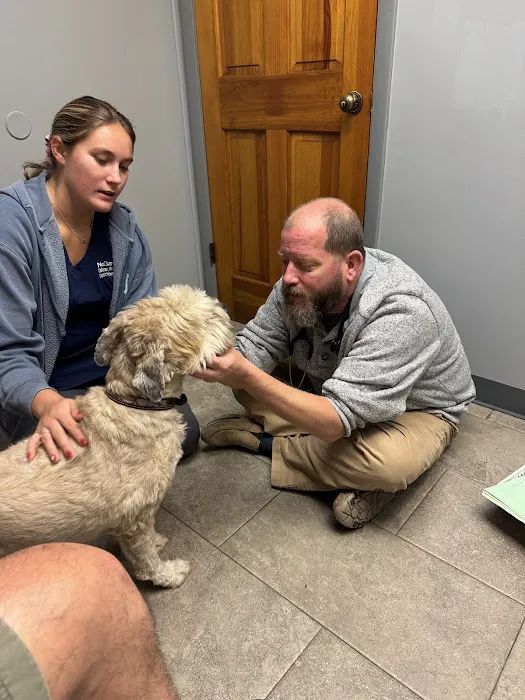 Deleon Springs Animal Clinic 3