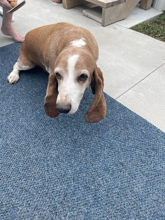 Deleon Springs Animal Clinic 8