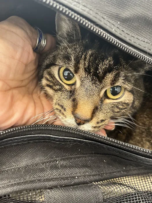 Vetco Total Care Animal Hospital 2