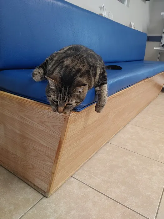 VCA Edgewater Shores Animal Hospital 4