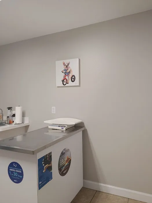 VCA Edgewater Shores Animal Hospital 3