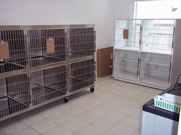 VCA Edgewater Shores Animal Hospital 5