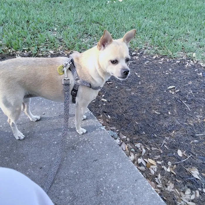 VCA Edgewater Shores Animal Hospital 10