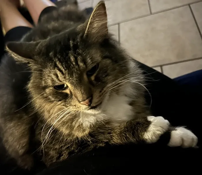 Halifax Veterinary Center 12