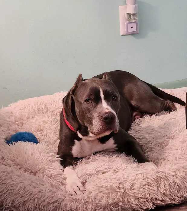 Halifax Veterinary Center 12