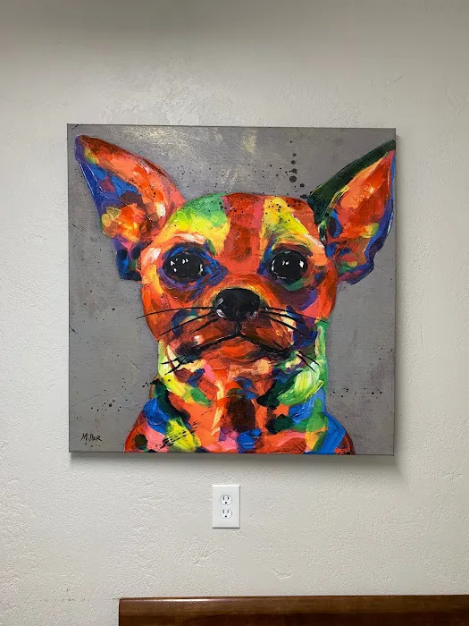 Glencoe Veterinary Hospital 9