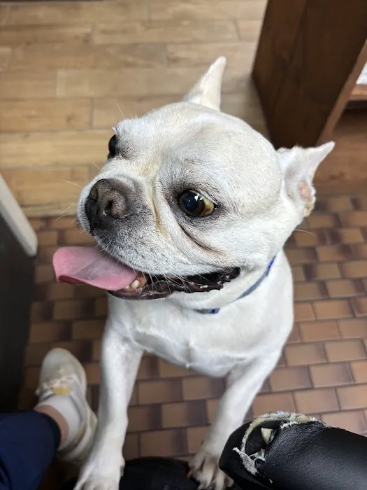 Beachwood Animal Clinic 7