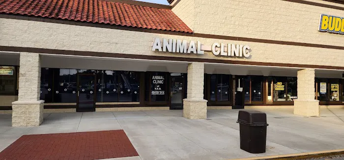 Animal Clinic of New Smyrna 2