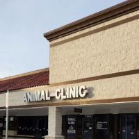 Animal Clinic of New Smyrna ico