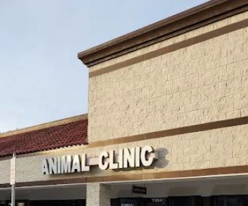 Animal Clinic of New Smyrna