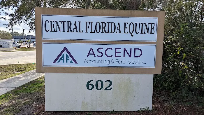 Central Florida Equine 1