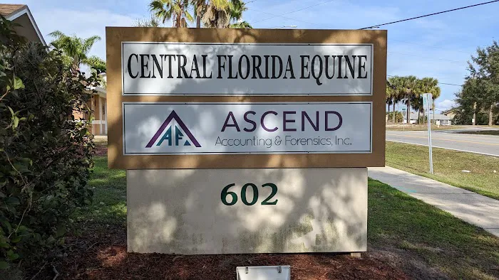 Central Florida Equine 4