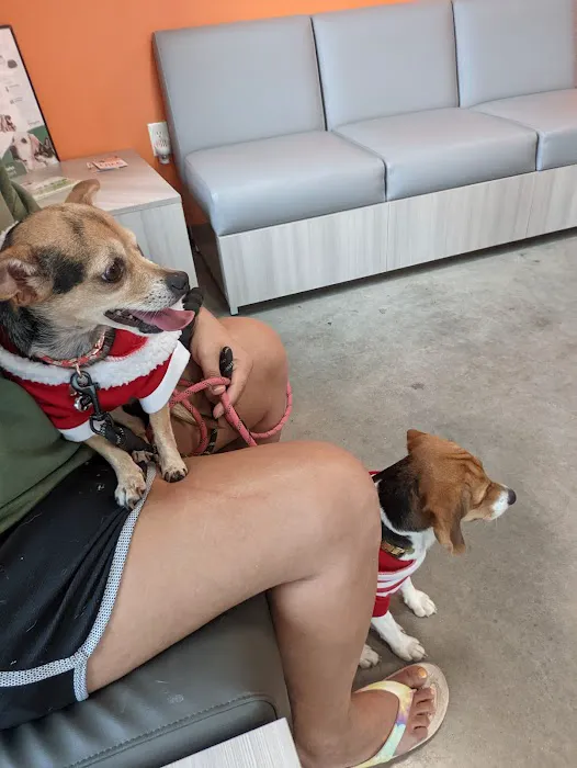 Lake Nona Animal Clinic 10