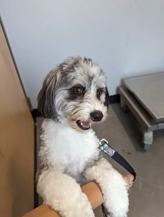 Lake Nona Animal Clinic 5