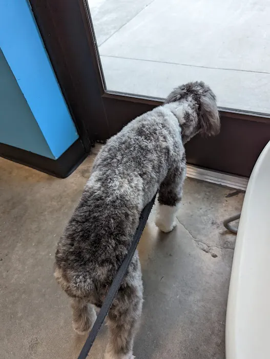 Lake Nona Animal Clinic 8