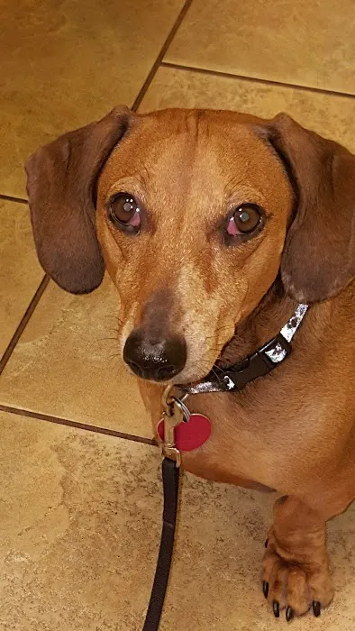 Lake Nona Animal Clinic 2