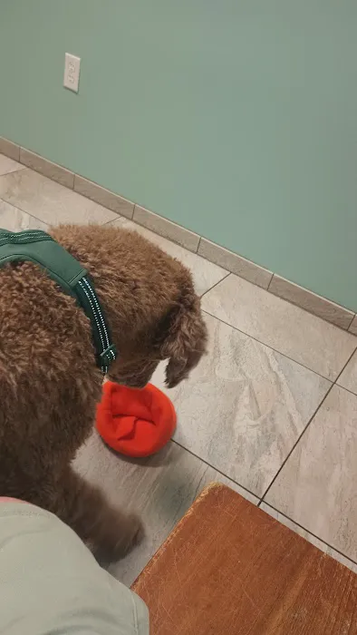 Animal Wellness Center 2