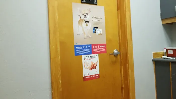 Animal Medical Center 12