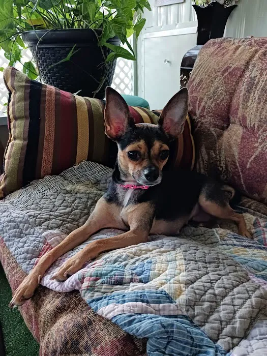 Eustis Veterinary Hospital 12