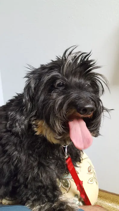 Eustis Veterinary Hospital 12