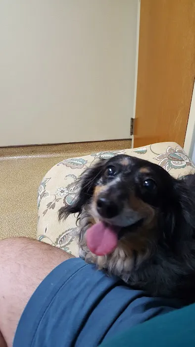 Eustis Veterinary Hospital 12