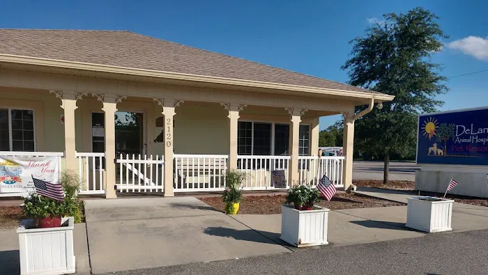 VCA DeLand Pet Resort 1