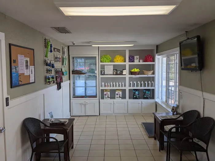 VCA DeLand Pet Resort 8