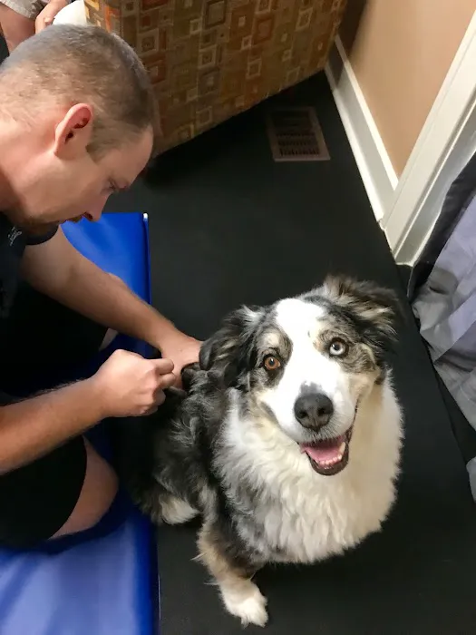 Florida Veterinary Rehabilitation 12