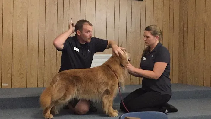 Florida Veterinary Rehabilitation 12