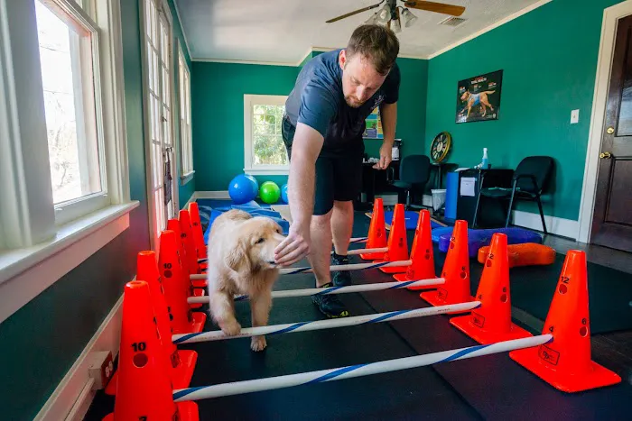 Florida Veterinary Rehabilitation 12
