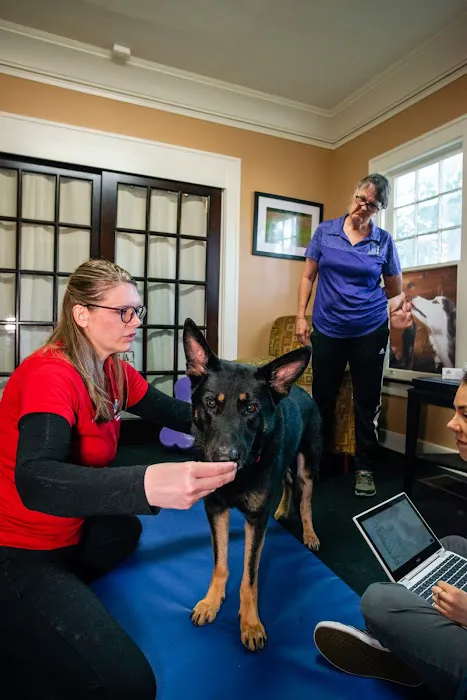 Florida Veterinary Rehabilitation 12