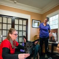 Florida Veterinary Rehabilitation ico