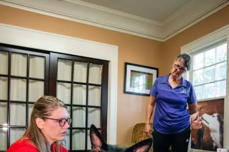 Florida Veterinary Rehabilitation