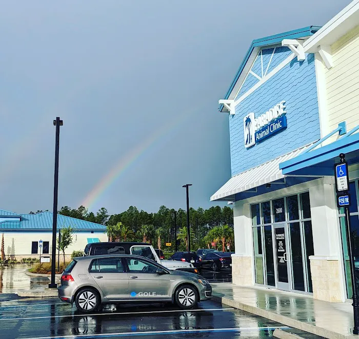 Paradise Animal Clinic of Daytona 10