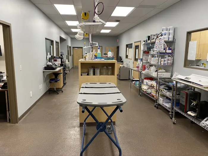 New Smyrna Beach Animal Medical Center 7